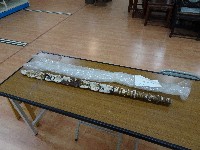 藏品(韋陀棒)的圖片