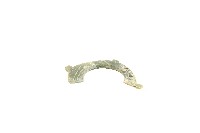 藏品(帶四突起玦形耳飾)的圖片