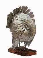 藏品(錫雕火雞雕塑)的圖片