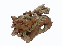 藏品(倒趴獅)的圖片