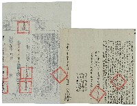 藏品(咸豐九年陳水來等立杜退耕田契字)的圖片