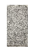 藏品(捐置九芎林街義渡田業碑記拓本)的圖片