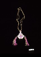 藏品(臺灣漢人族群煙草袋煙草袋)的圖片