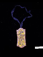 藏品(臺灣南部客家男性眼鏡袋)的圖片