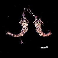 藏品(臺灣漢人族群蚊帳鉤)的圖片