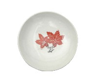 藏品(彩繪楓葉紋盤)的圖片