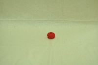 藏品(豫劇道具)的圖片