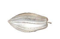 藏品(錦綾堂款銀製木瓜形皿)的圖片