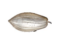 藏品(錦綾堂款銀製木瓜形皿)的圖片