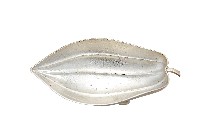 藏品(錦綾堂款銀製木瓜形皿)的圖片