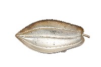 藏品(錦綾堂款銀製木瓜形皿)的圖片