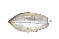 藏品(錦綾堂款銀製木瓜形皿)的圖片