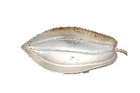 藏品(錦綾堂款銀製木瓜形皿)的圖片