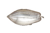 藏品(錦綾堂款銀製木瓜形皿)的圖片