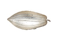藏品(錦綾堂款銀製木瓜形皿)的圖片