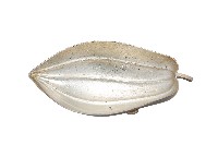 藏品(錦綾堂款銀製木瓜形皿)的圖片