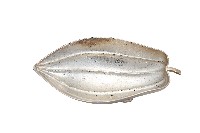 藏品(錦綾堂款銀製木瓜形皿)的圖片