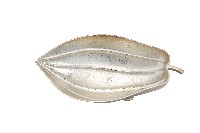 藏品(錦綾堂款銀製木瓜形皿)的圖片