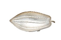 藏品(錦綾堂款銀製木瓜形皿)的圖片