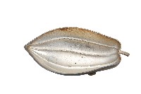 藏品(錦綾堂款銀製木瓜形皿)的圖片