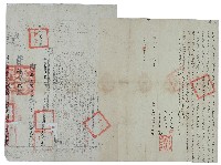 藏品(光緒三年洪貫卿立轉典田契字并光緒四年契尾)的圖片