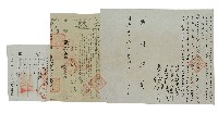 藏品(樹德堂向受真購置旱田二處之杜賣契并契尾以及勘驗買契證明)的圖片