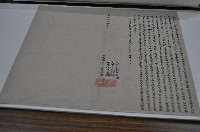 藏品(光緒十一年成興號立典田契字)的圖片