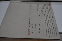 藏品(光緒七年林新永發號立典田契字)的圖片