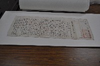 藏品(浯江書院林殿材課卷)的圖片