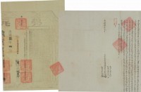 藏品(光緒八年李郎等二人仝立賣杜絕盡根園契（含契尾）)的圖片