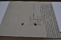 藏品(明治三十六年張虧等二人立賣杜絕盡根園契字)的圖片