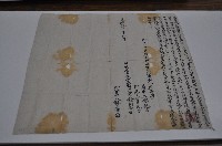 藏品(光緒十七年林朝全立賣找盡根園契)的圖片