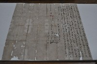 藏品(咸豐十一年黃舜等二人仝立賣杜絕盡根園契)的圖片