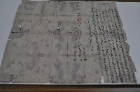 藏品(光緒七年黃群親立典園契)的圖片