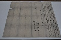 藏品(道光九年賴通光等二人仝立杜絕賣盡根契)的圖片