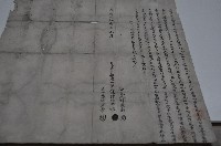 藏品(光緒二十一年林陳氏蜂娘立賣盡根宅地契)的圖片