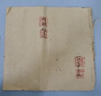 藏品(光緒十九年廖王氏等四人立鬮書)的圖片