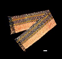 藏品(泰雅族織品橫紋腰帶)的圖片