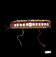 藏品(布農族頭冠)的圖片