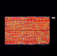 藏品(排灣族紅色織品方巾)的圖片