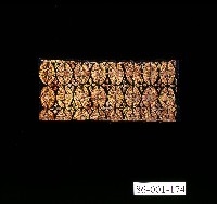 藏品(排灣族橢圓紋刺繡布)的圖片