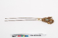 藏品(臺灣漢人族群鎏金髮釵)的圖片