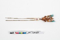 藏品(臺灣漢人族群鎏金髮釵)的圖片