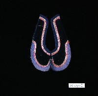 藏品(黑色素面繡花鞋面)的圖片