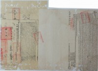 藏品(咸豐八年游三傑等四人仝立杜賣盡根水田契)的圖片