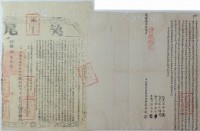 藏品(咸豐十一年李阿新立杜賣盡根水田契)的圖片