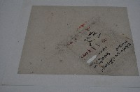 藏品(道光六年林景仁買契)的圖片