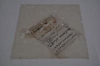 藏品(道光十三年林安邦契字)的圖片