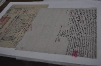 藏品(道光三十年陳水蓮等五人仝立杜賣盡根水田埔園契（含契尾）)的圖片