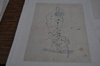 藏品(林景仁田產地圖)的圖片